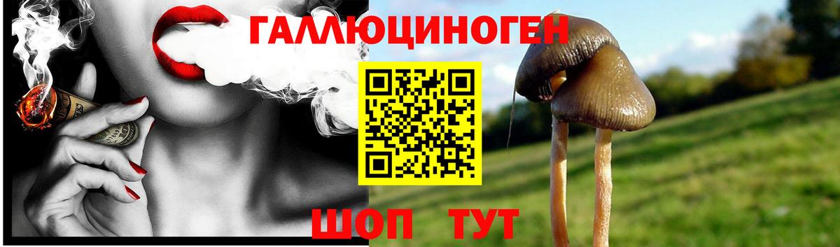 Галлюциногенные грибы мухоморы  Вход с VPN  Галлюциногенные грибы GOLDEN TEACHER  Гуково 